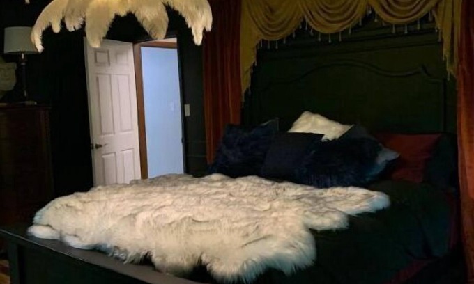 Clarksville House | The Canary of Clarksville