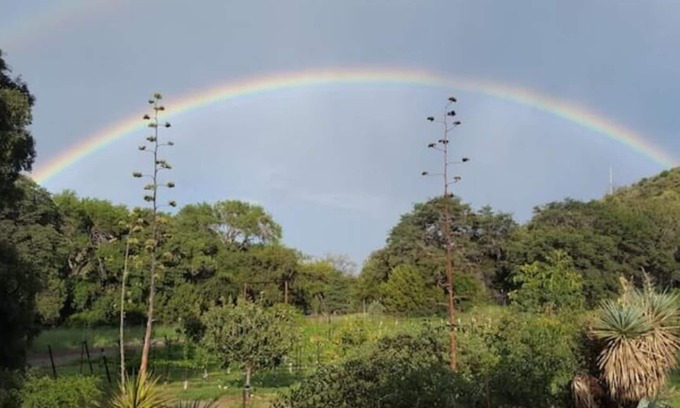 Willcox House | The Colibri Vineyard House