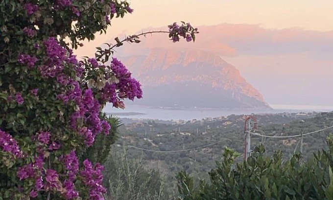 Murta Maria House | The dragon's lair