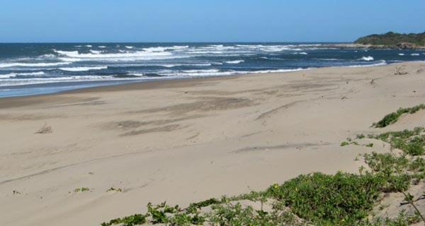 Palm Beach Apartment | The Eden Palms