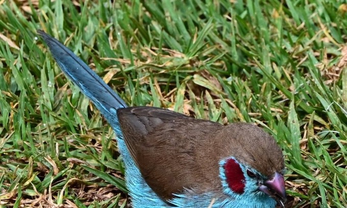 Nyahururu Bed & Breakfast | The Falls Hippo Point