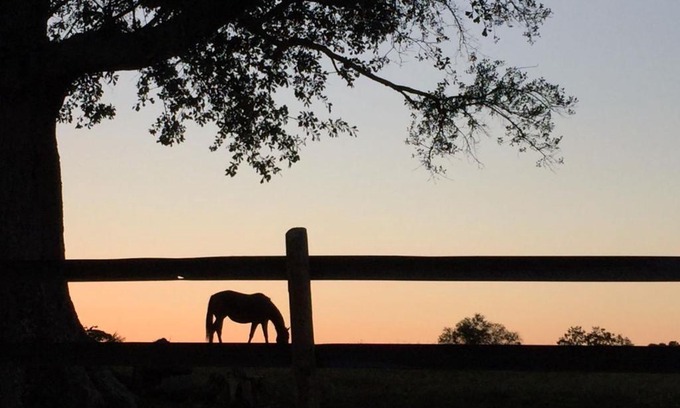 Madison Bed & Breakfast | The Farmhouse Inn