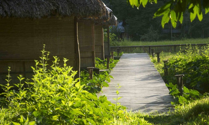 Havelock Island Hotel | The Flying Elephant