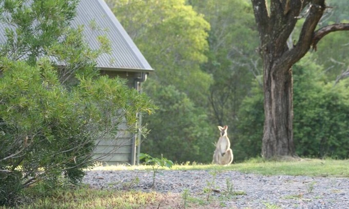 Bandon Grove Cabin | The Folly is a beautiful 2 bedroom holiday home with a log fire and fire pit.
