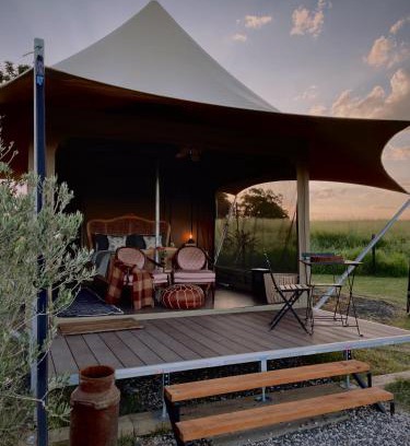 Haigslea Other | The Forager Glamping at Twigley Farm