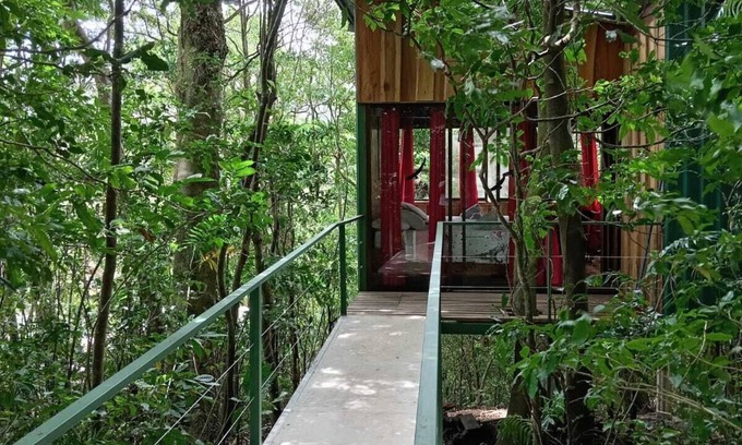 Monteverde Bed & Breakfast | The Green Tree Lodge