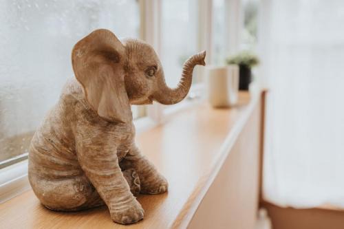 Telford Apartment | The Grove