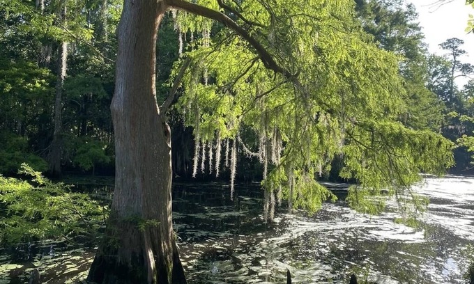 Slidell RV Rental | The Happy Camper!