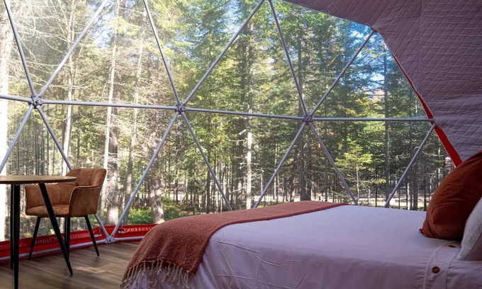 Queens County Cabin | The Harvest