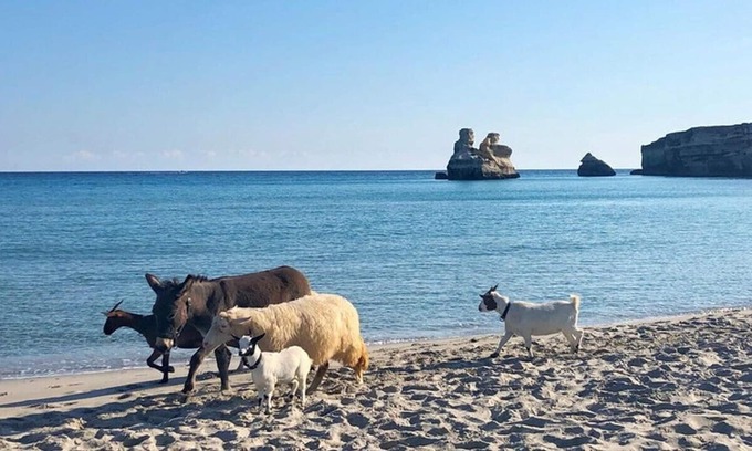 Torre dell'Orso House | The house of sun, walk to the sea