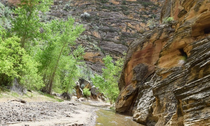 Escalante Hotel | The INN of Escalante