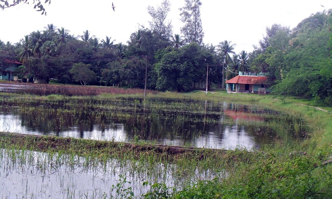 Poothurai Apartment | The Lake-Shore Apartment