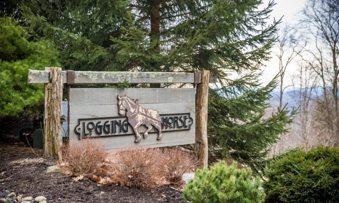 Burnsville Villa | The Lions Den - Private Club Access