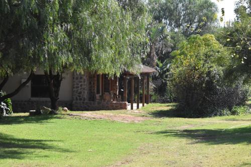 Bela-Bela Hotel | The Lions Foundation Rescue & Conservation Centre at Schrikkloof