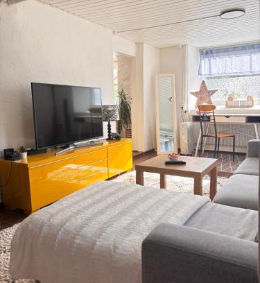 Boras Apartment | The Little Nest Borås, Cozy Apartment with Parking