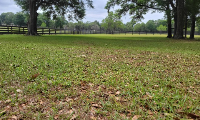 O Brien Cottage | The Lonestar Whitt Ranch