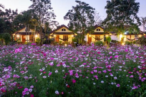 Pai Resort | The Nest House