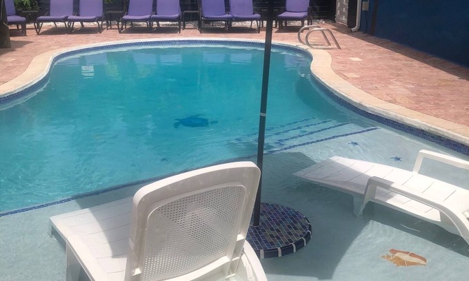 Royal Poinciana House | The Oasis @ Hollywood, FL (3miles to the beach)
