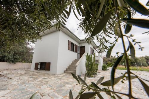 Koropi House | The Olive Home