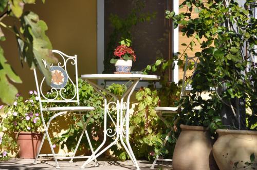 Tsafririm Cabin | The OLive Tree