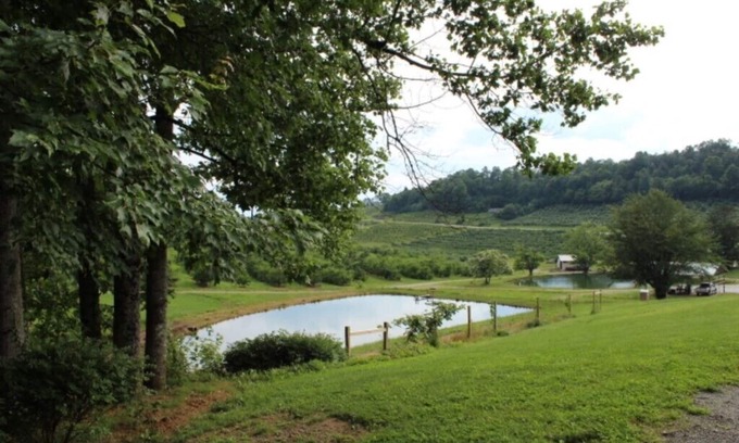 Hendersonville Apartment | The Orchard Suite: Serenity in nature