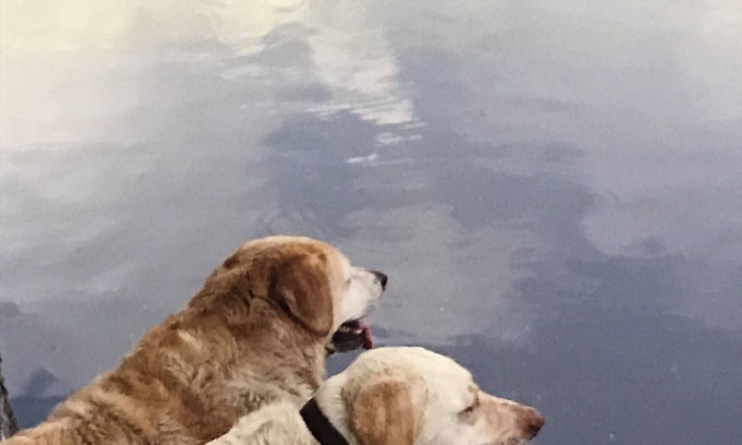 Citrus Springs House | The scenic Withlacoochee River Pet-friendly Bird House