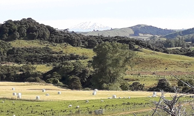 Turakina House | The sheep's retreat farmstay