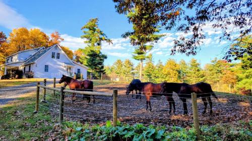 Belchertown House | The Suite at Liberty Woods