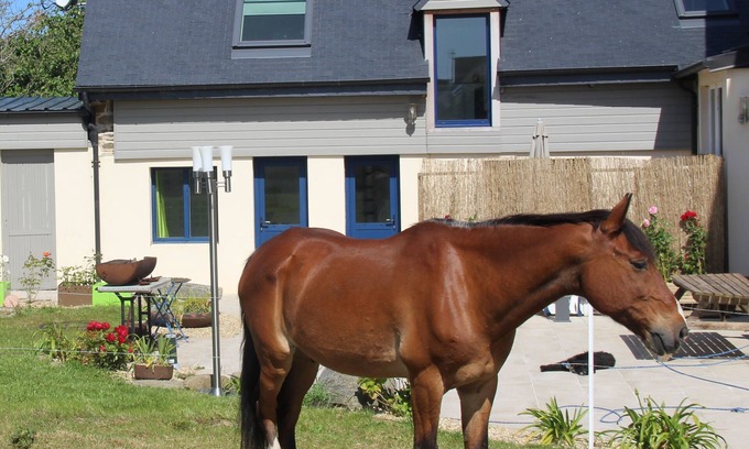 Binic-Etables-sur-Mer House | THE TRISKEL - maisonette for 4 people near the beach