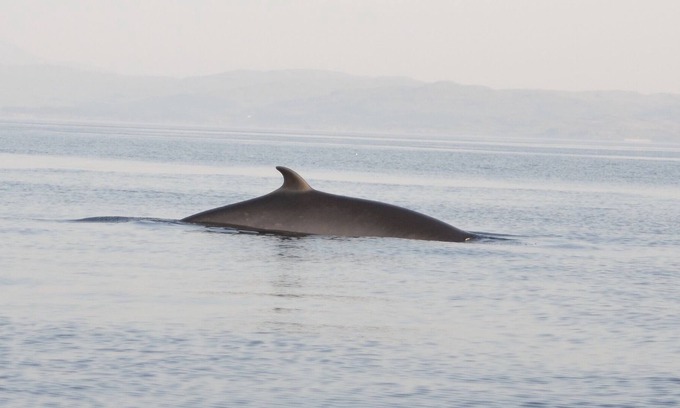 Ulva House | The Wing forms part of Achnadrish house in the North of Mull