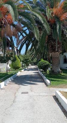 Skala Fourkas Apartment | Theo apartment in the palm trees
