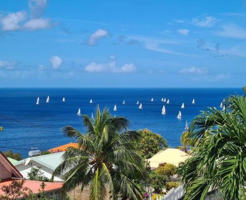Le Carbet House | Ti Sucrier Jaune - Douceur caraïbe vue mer
