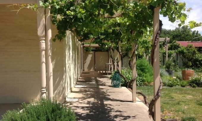 Tanunda Cottage | Tin House at Tanunda