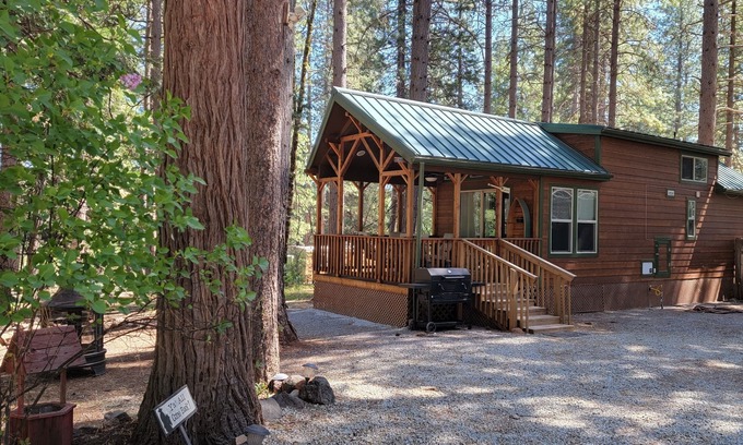 Shingletown House | Tiny House at Bigfoot Lodging Lassen