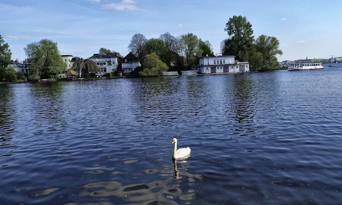 Winterhude Apartment | Top location 2 minutes walk to Alster