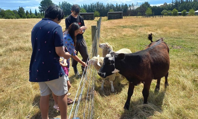 Christchurch Cottage | Tranquil eco getaway close to the airport
