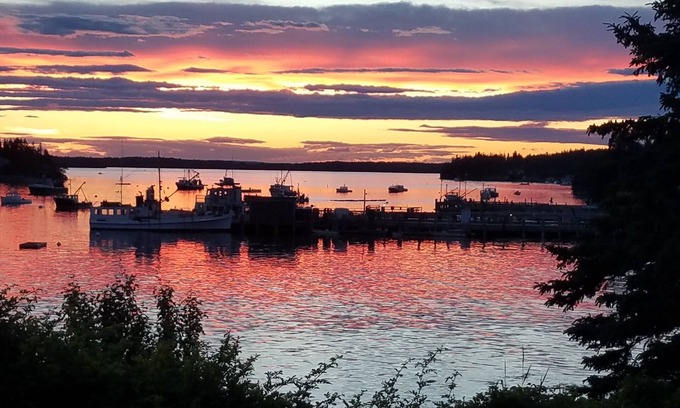 Tenants Harbor Apartment | "Tranquility Base" is a place where you can lose yourself in nature.