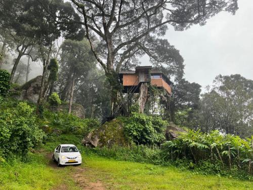 Pallivasal Other | Tree House Munnar
