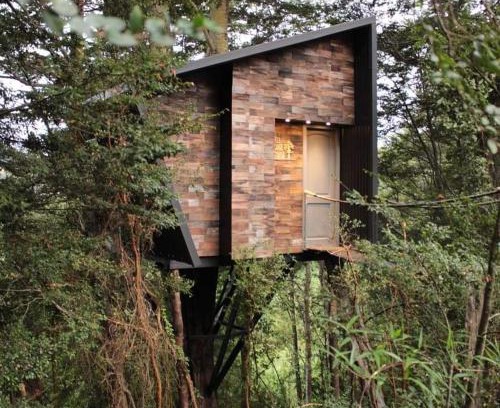 Puqueldon Cabin | TREE LODGE CHILOE