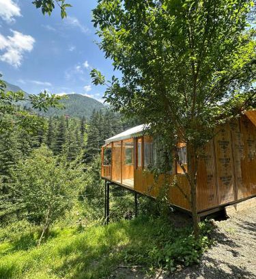 Banjar Ski Chalet | TreeHouse by The Woodpecker Inn Jibhi