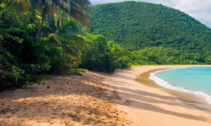 Bas Vent House | 🔥 Tropical escape 🌴 | Bungalow with private Jacuzzi in Guadeloupe