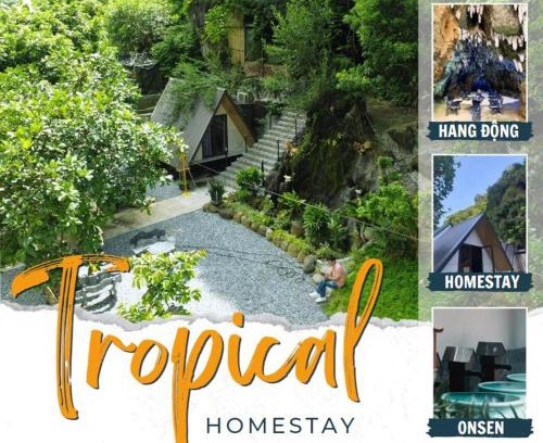 Cam Pha Apartment | Tropical Forest Homestay