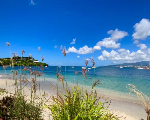 Trois-Ilets Apartment | Tropicvirgin studio vue mer, 150m de la plage