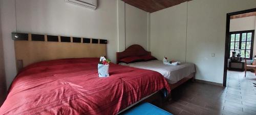 Lacanja Apartment | Tu Casa en la Selva Lacandona