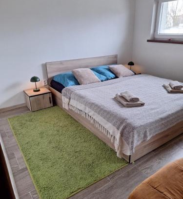 Hladke Zivotice Apartment | Ubytování poblíž Ostravy