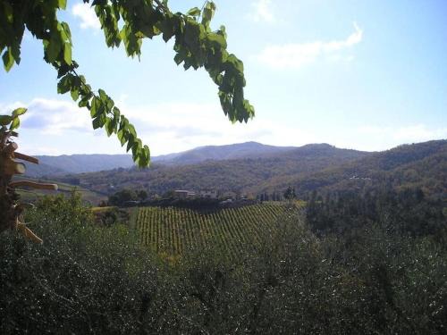 Greve in Chianti Ski Chalet | Un piccolo Paradiso nel Chianti più selvaggio