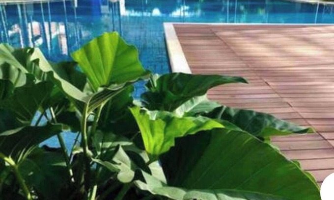 Ugong Condo | Urban Penthouse