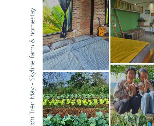 Moc Chau House | Vườn Trên Mây - Skyline Farm & Homestay