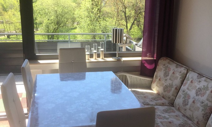 Usseln Condo | Vacation apartment Schamei with infrared fireplace, in the middle of nature