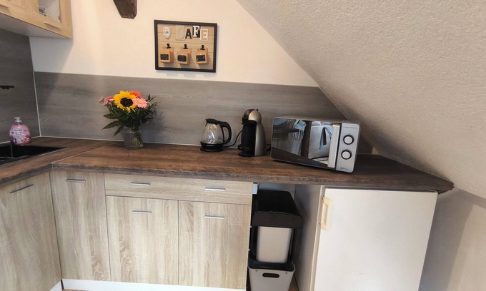 Bockau Apartment | Vacation apartment "Elsa" in the heart of the Ore Mountains